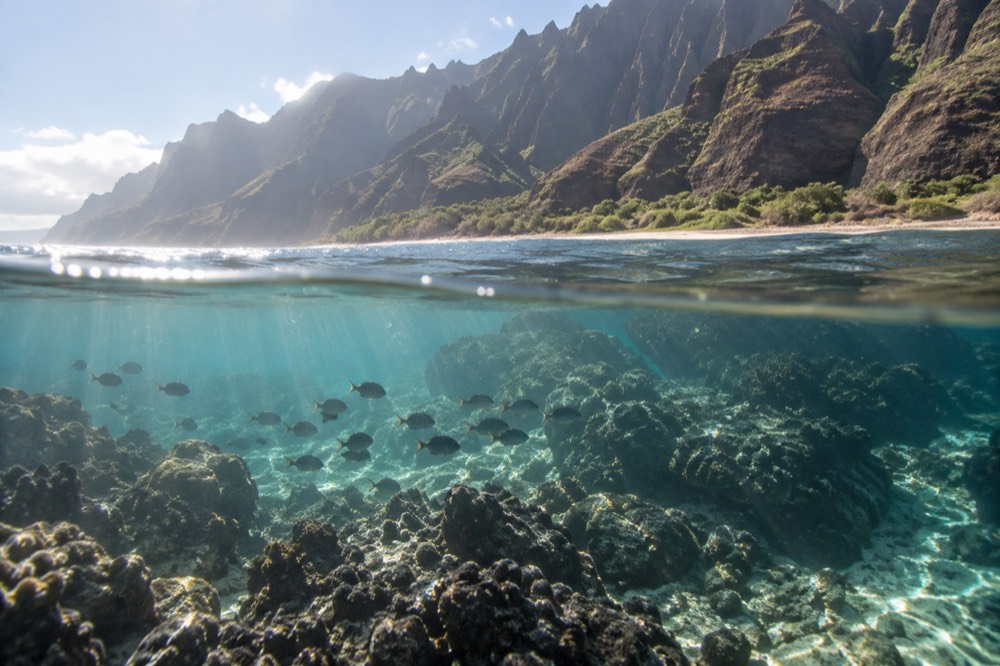 Clear shallow water over a coral reef with sunlight beams angled down in early morning