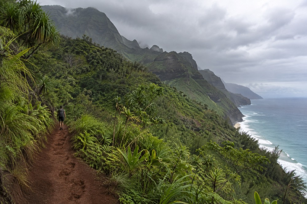 A narrow dirt footpath along a green ridge above the ocean on the Kalalau Trail