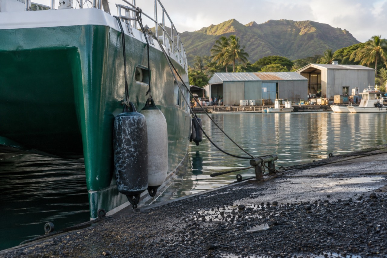 Small boat harbor at Port Allen with catamarans moored along the dock and green hills behind
