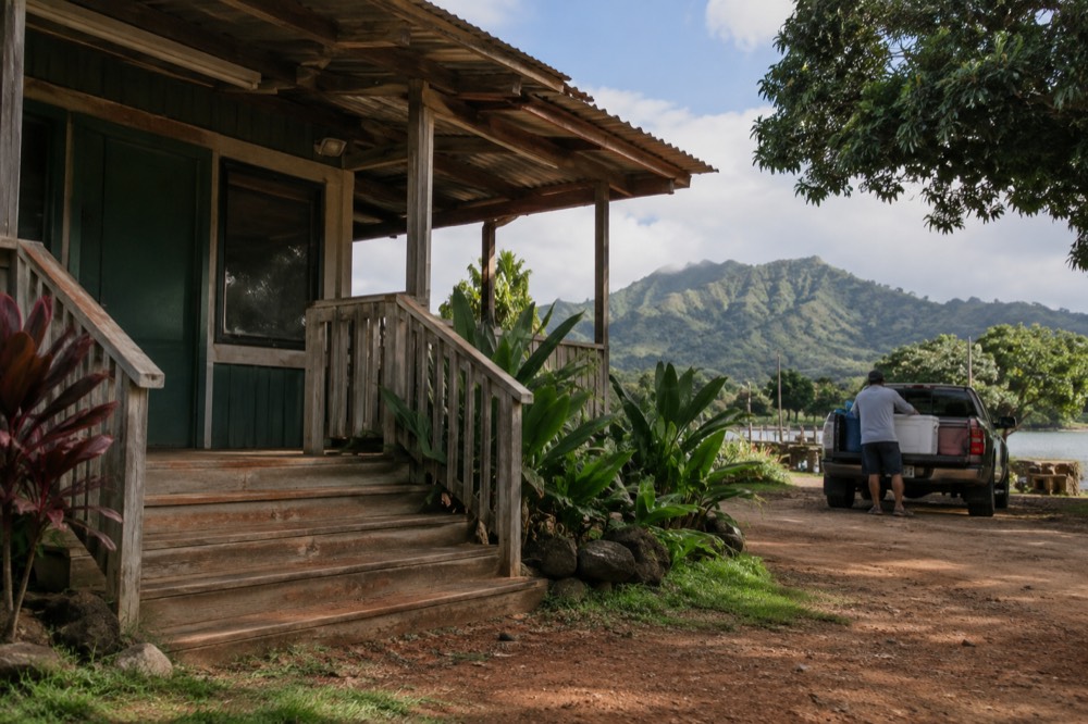 A weathered wooden office front on Alawai Road in Waimea