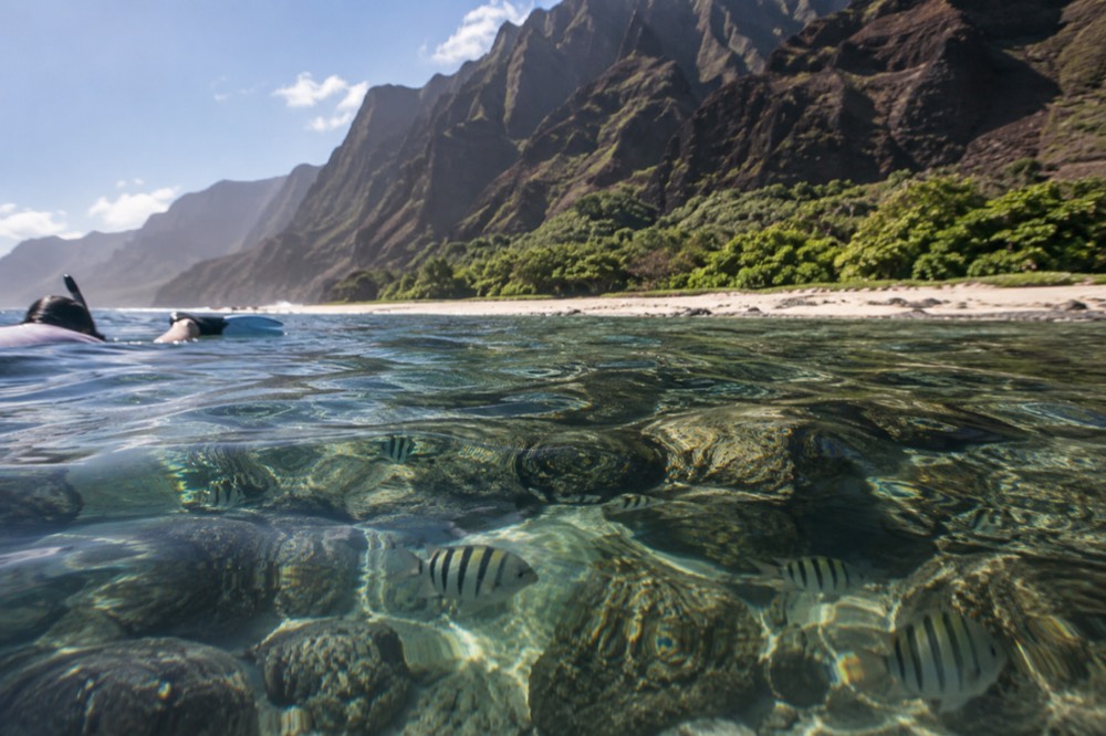 Clear shallow water over a coral reef with fish visible near the surface